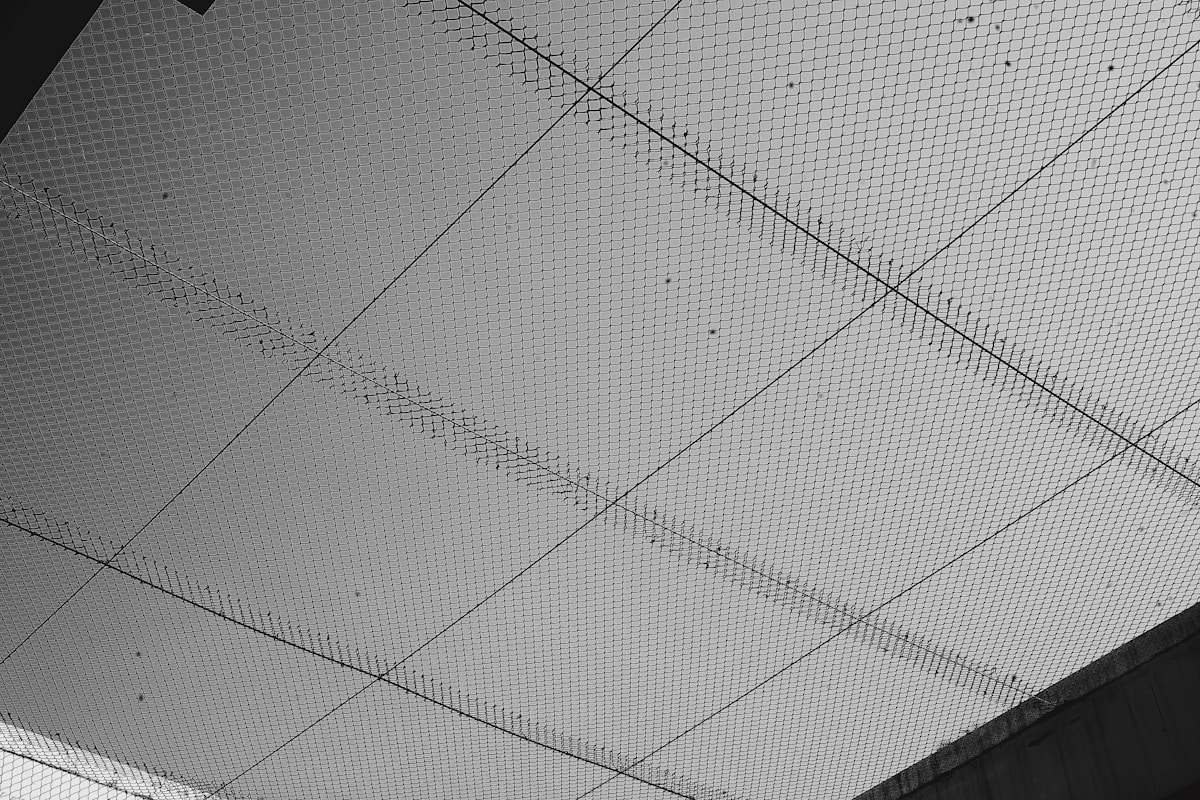 white and black checkered textile