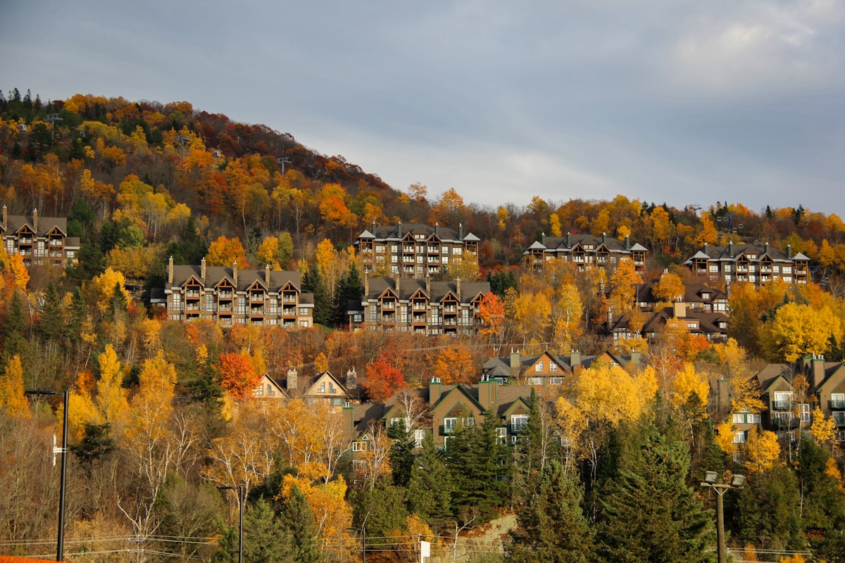 Autumn foliage surrounds buildings on a hillside.