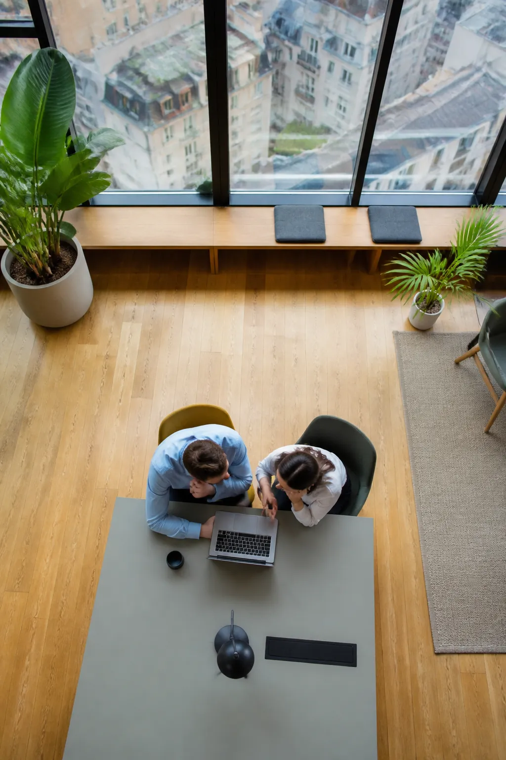 Bureau avec ordinateurs portables, plantes vertes et vue sur la ville.